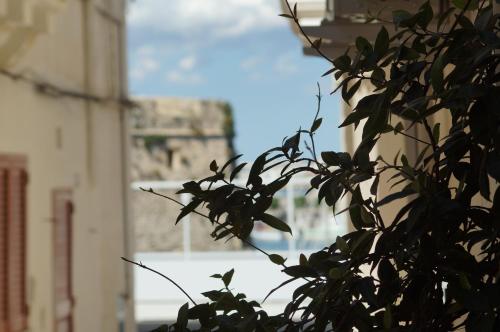 Palazzo Barba - image 12
