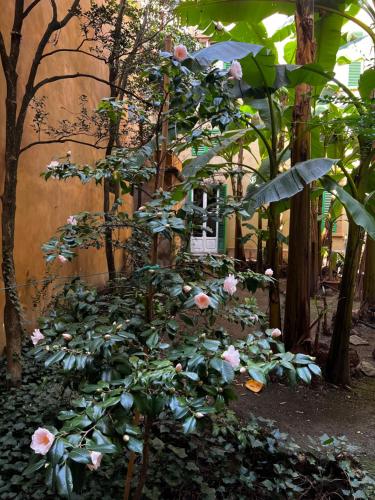 The Magnificent Maison du Charme Room Type - King Room with Garden View