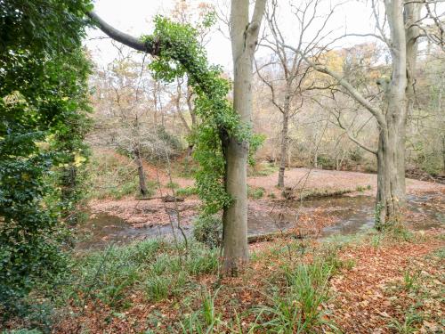 Daffodil Lodge - image 10