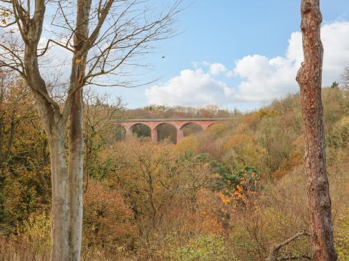 Orchid Lodge - image 5