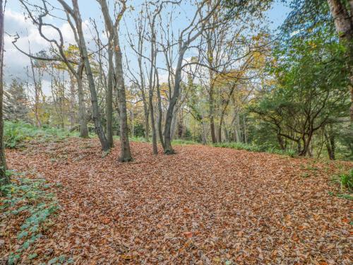 Orchid Lodge - image 13