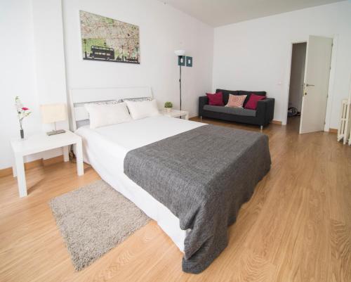 APARTAMENTO 3 HAB MADRID CENTRO, Madrid