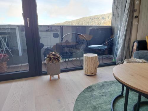 Terraza/balcón, U Šumavské Lípy (U Sumavske Lipy) in Zelezna Ruda