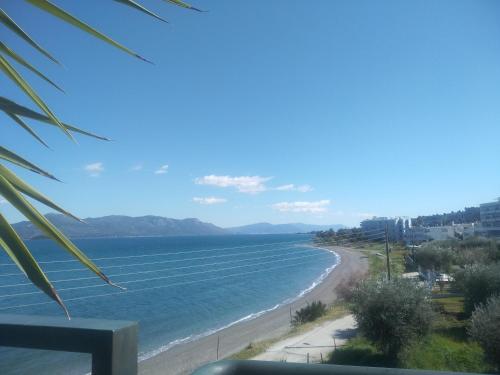 Mare e Monti1, Kamena Vourla (Foto 8)