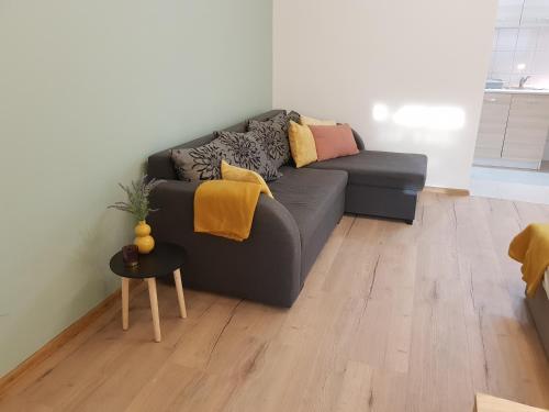 Pokoje Gościnne Nad Złotym Potokiem (Pokoje Goscinne Nad Zlotym Potokiem) in 亞諾托維克