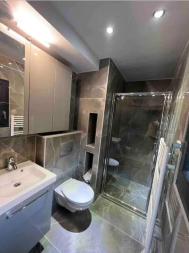 Superbe Appartement Entre Lac Et Montagne. - Veyrier-du-Lac