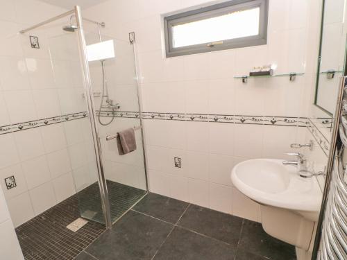 Bluebell Lodge Saltburn-by-the-Sea - image 7