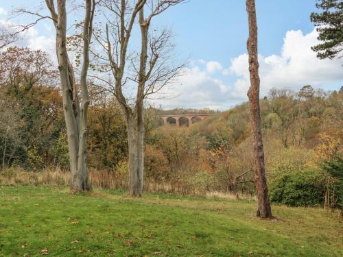 Bluebell Lodge Saltburn-by-the-Sea - image 10