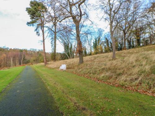 Bluebell Lodge Saltburn-by-the-Sea - image 3