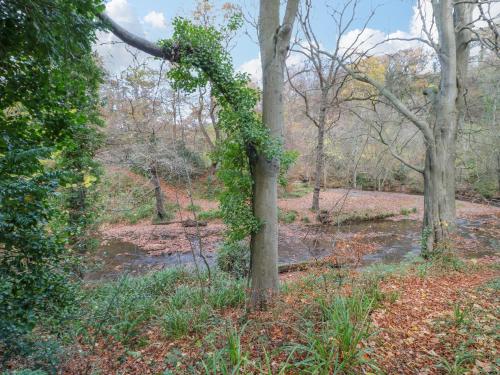 Bluebell Lodge Saltburn-by-the-Sea - image 8