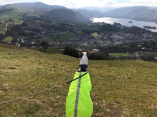 Winchester House – Keswick