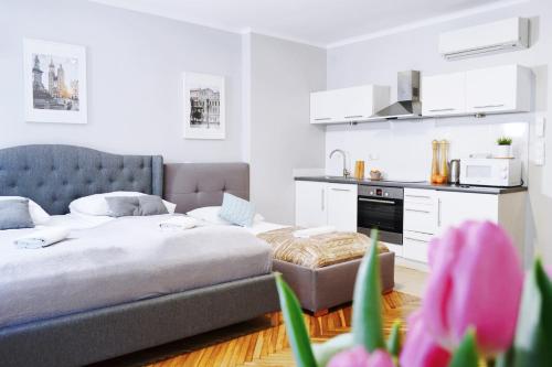 21 Floriańska Street Apartments 4