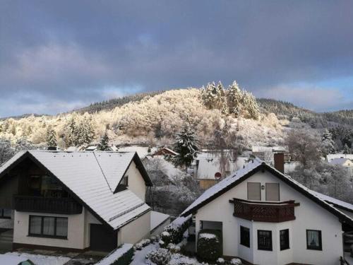 Spacious flat in Adenau near the N rburgring