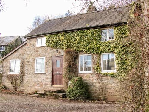 Wern Tanglas Cottage - main image