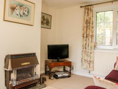 Wern Tanglas Cottage - image 10