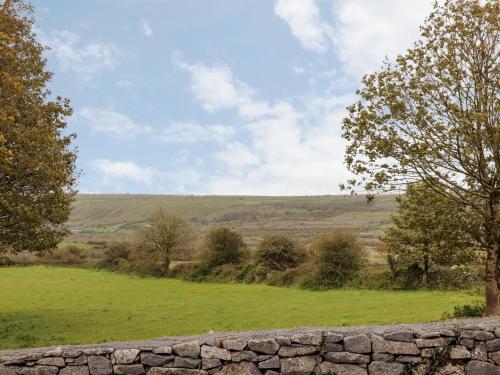 Limestone Cottage Ennis - image 9