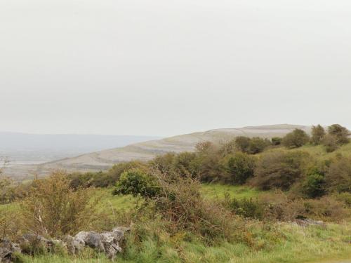 Limestone Cottage Ennis - image 3