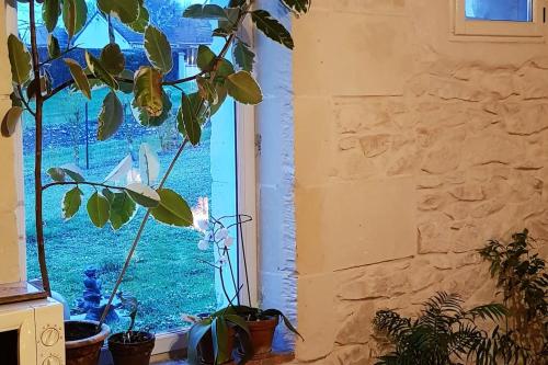 Maison d'une chambre avec jardin clos et wifi a Noyers sur Cher