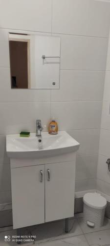 Lilia House Poznan photo
