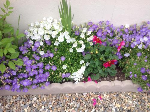Barrow View B&B - image 6