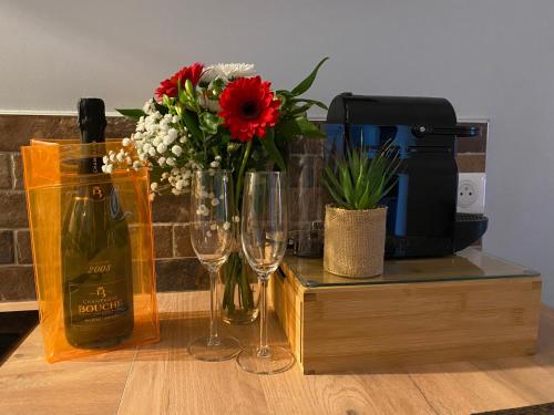 La villa Jeanne Jardin & spa gîte à louer Soissons