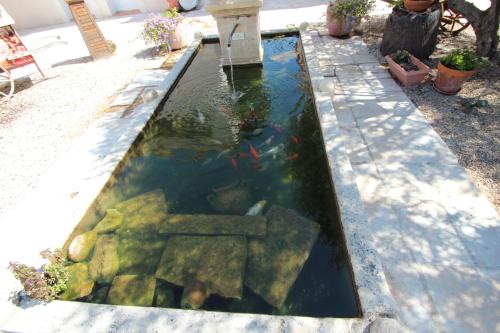 Hôtel et Résidence de la Transhumance - image 7