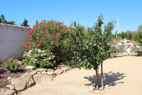 Hôtel et Résidence de la Transhumance - image 5