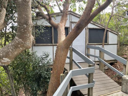 Virgin Islands Campground Virgin Islands Campground