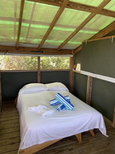 Virgin Islands Campground Virgin Islands Campground