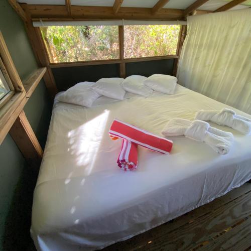 Virgin Islands Campground Virgin Islands Campground