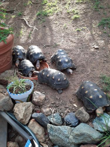 Virgin Islands Campground Virgin Islands Campground