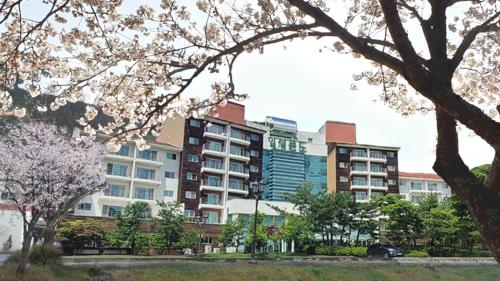 Muju Ilsung Condo - Accommodation - Muju