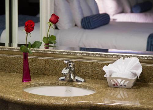 Regency Inn in Los Angeles, Los Angeles (Foto 8)