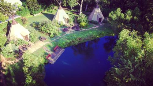 Tipi 0 Bird Sings - image 6