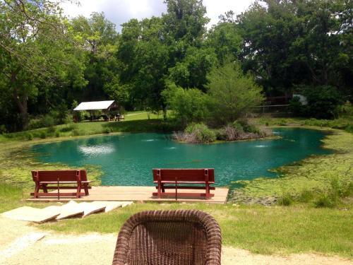 Tipi 0 Bird Sings - image 11