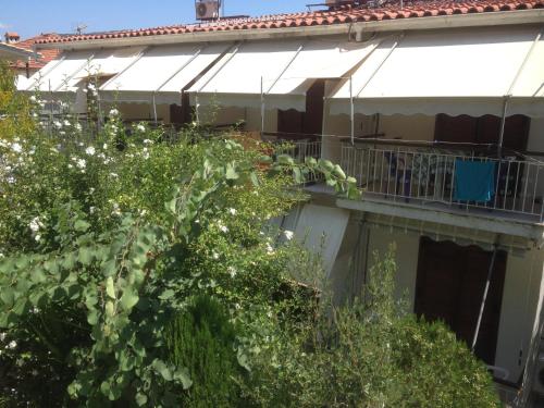 Dimitris Rooms Dimitris Rooms