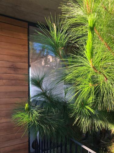 La Villa Da Lat La Villa Da Lat