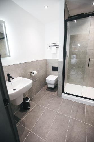 Arena Black Lion - image 12