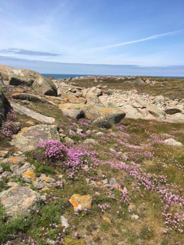 Belle vue sur mer