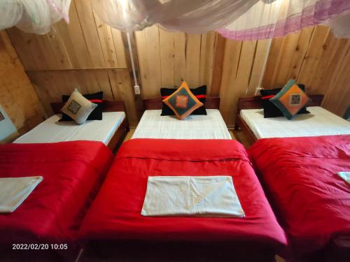 Dồn Dao Homestay