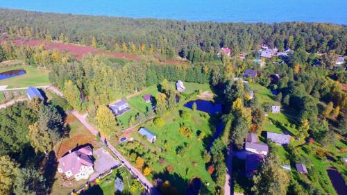 A környék, Tree House Fluffy Horns - Namiņš Kokos Pūkainie Ragi (Tree House Fluffy Horns - Namins Kokos Pukainie Ragi) in Kesterciems