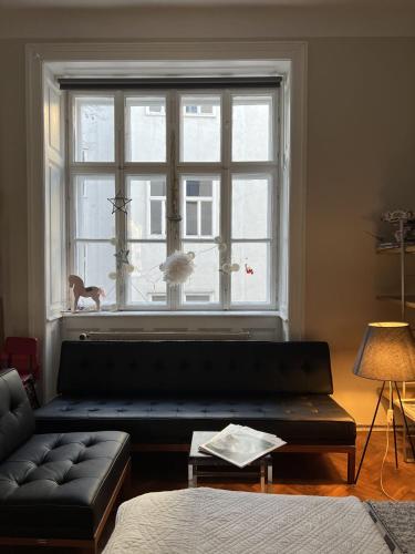 The Room for Artists Vienna, Vídeň (fotografie 6)