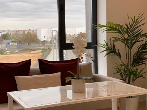 Instalaciones, Hacienda Miraflores in Cordoba Suburbs