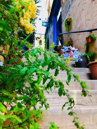 Zaman Ya Zaman Boutique Hotel