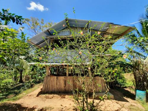 Exterior view, La Munequita Lodge 2 - culture & nature experience in Palmar Norte