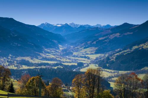 Rosis Sonnbergstuben - image 5