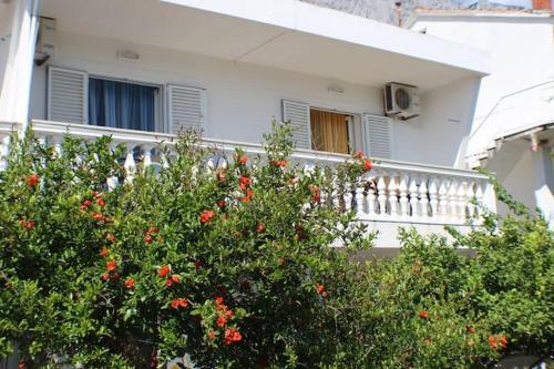 Apartments Zika photo