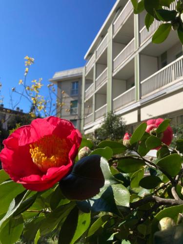 Hotel Ghironi – La Spezia, PA