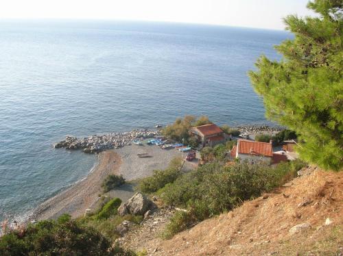  Appartamento orlando vista panoramica Pomonte isola D´Elba in Pomonte