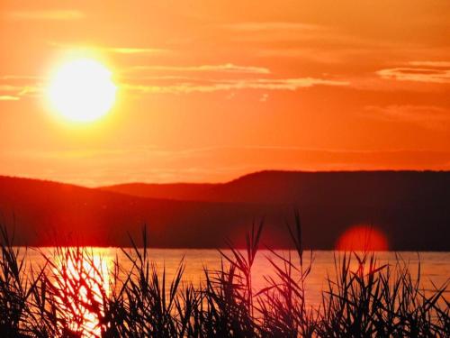 Großes Ferienhaus Plattensee Balaton - nyaraló ház 6 szobával, 5 fürdőszobával, 3000 nm